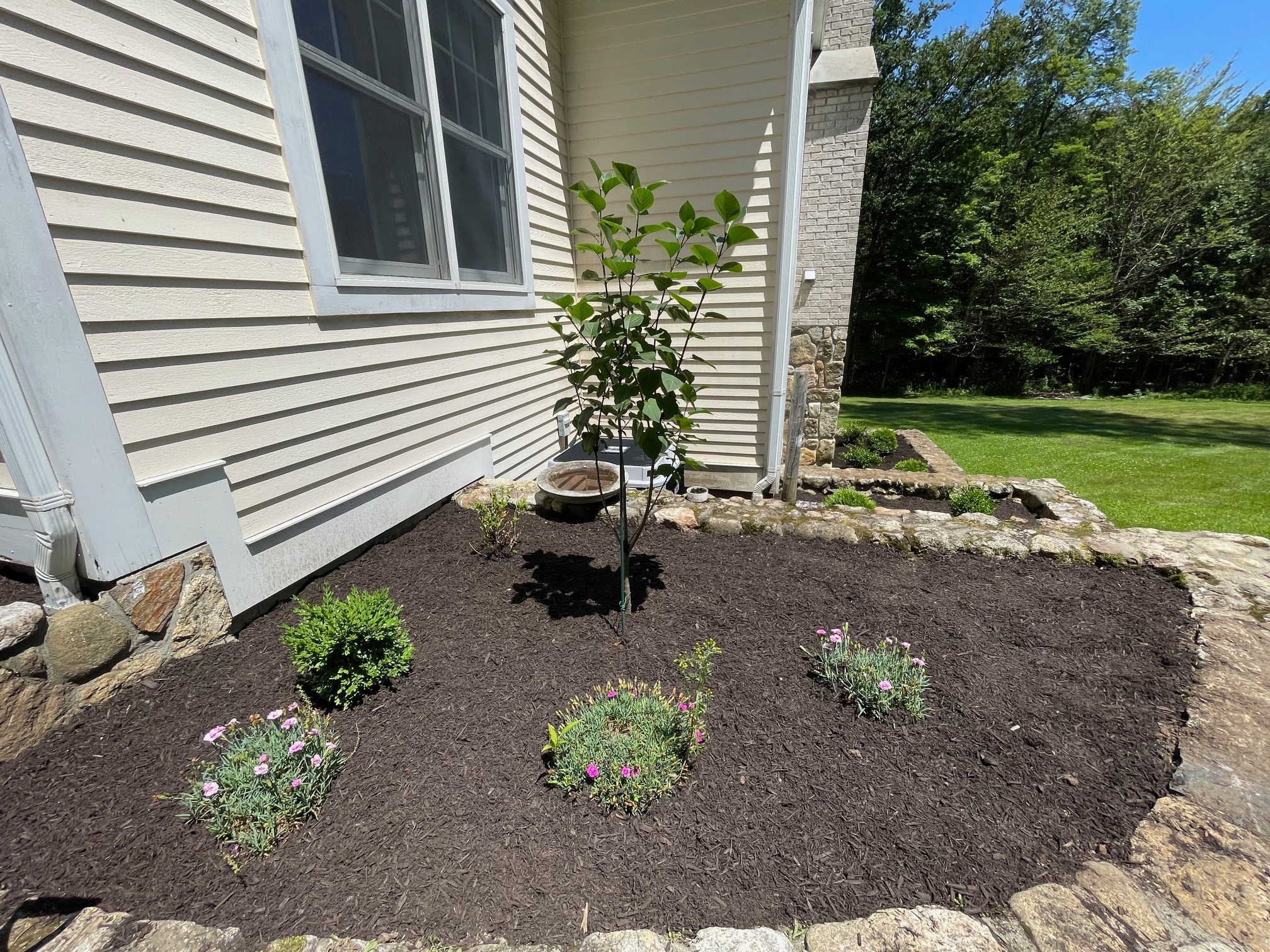 J&A Landscaping project photo 4