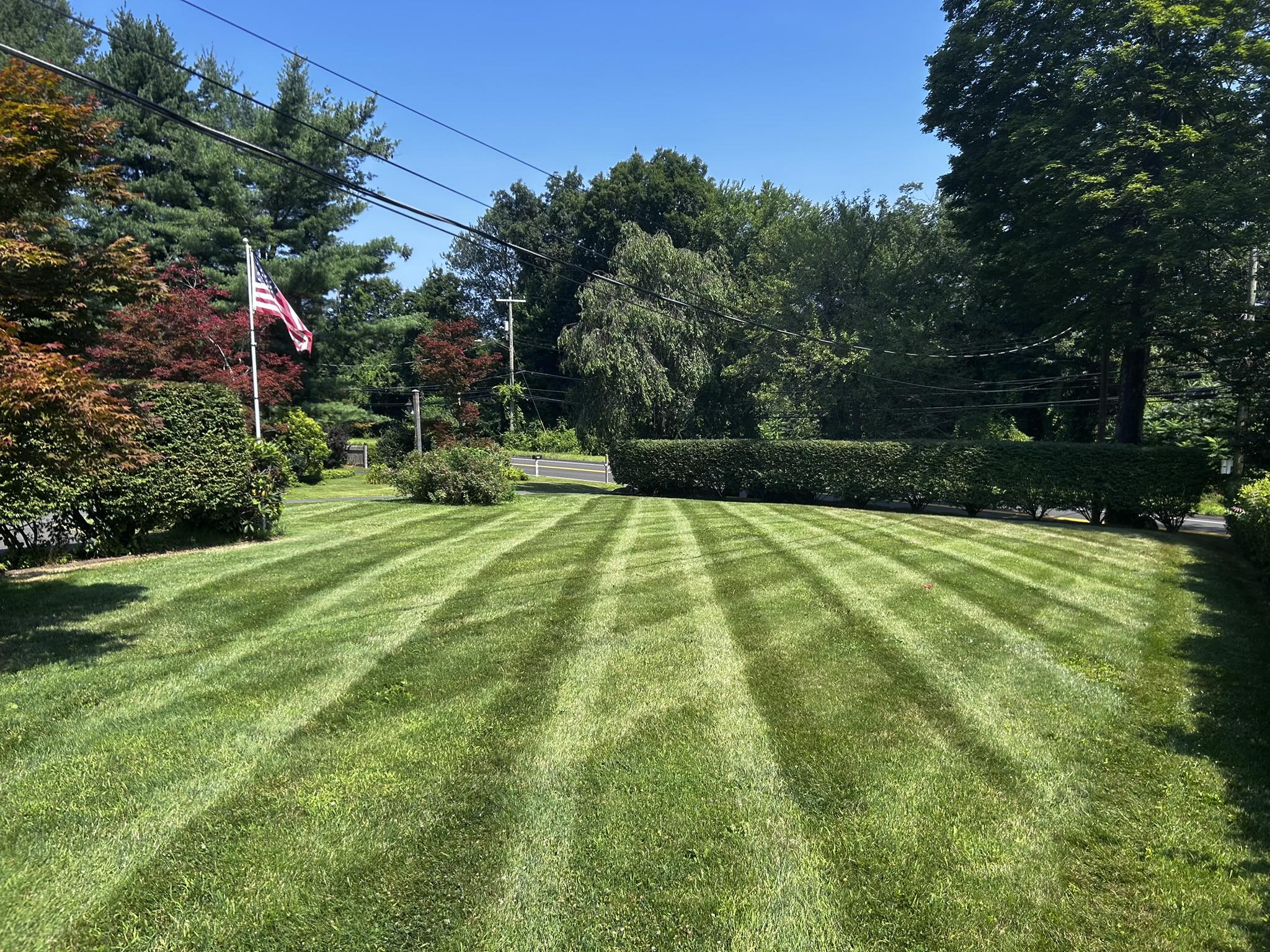 Showcase lawn with crisp stripes by J&A Landscaping
