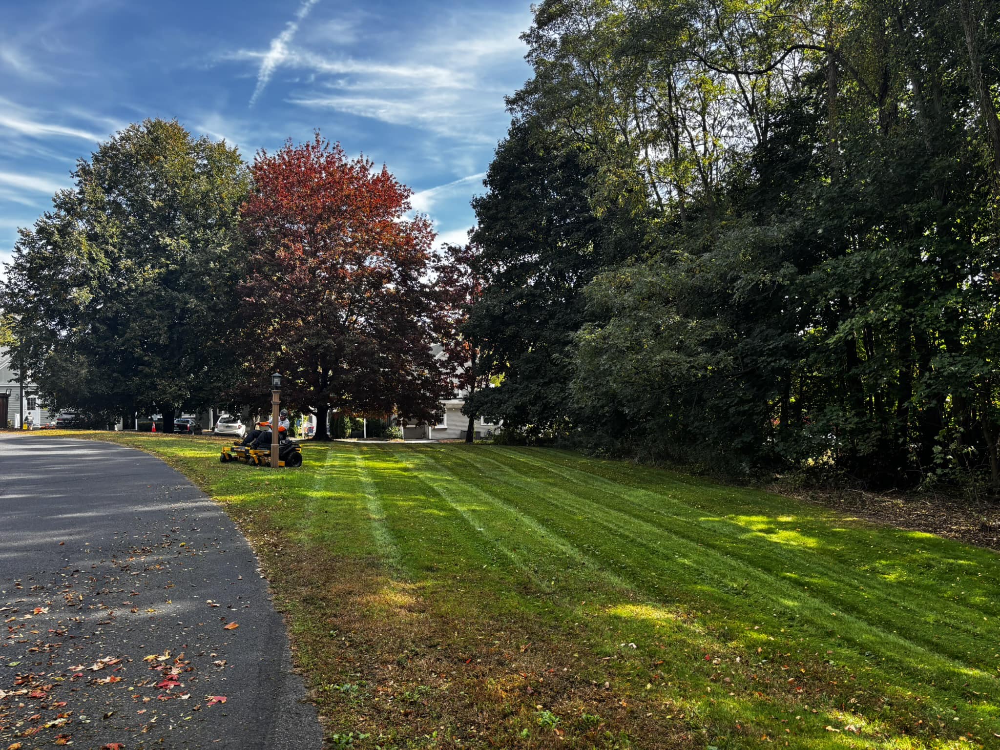 J&A Landscaping project photo 3